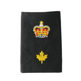 Staff Superintendent Epaulettes