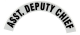Asst. Deputy Chief Reflective Helmet Decal