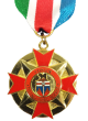 Custom Presentation Medal